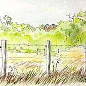 Paysage Berrichon