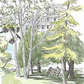Parc de la Rouvière