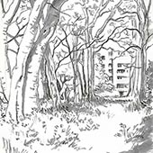 Le parc Henri Fabre