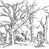 Le parc de la Rouvière